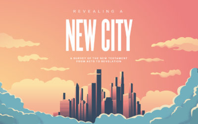 Revealing a New City